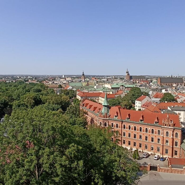 Panorama mozzafiato dal Castello di Wawel