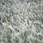 degeneration_5
