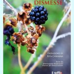 Invito_Sponsor_Geometrie_Dismesse_new